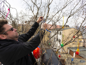 Pestrobarevná krása: kraslicovníky jarně oživily uličku v centru Olomouce