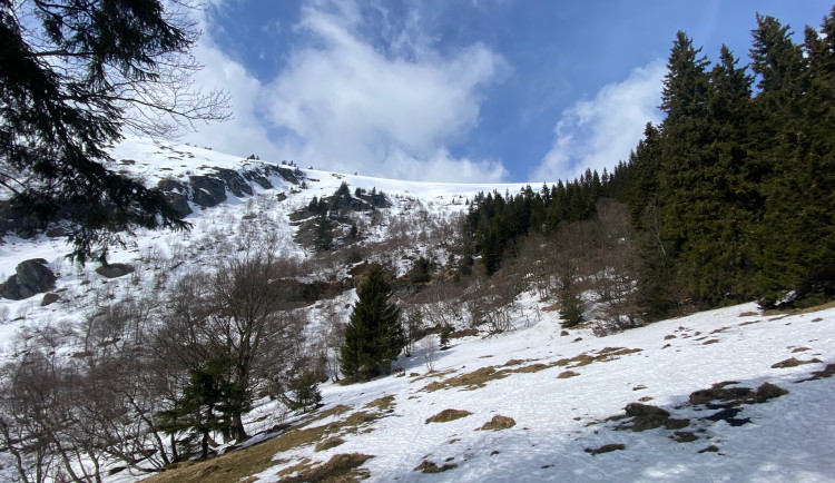 337369766_219381317417907_2341104880541527295_n