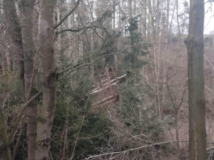 VIDEO: Lovci bouřek zjišťují, zda se při bouřce nad Prostějovskem nevytvořilo tornádo