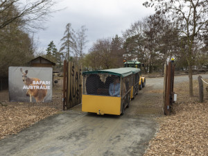 FOTOGALERIE: Vláčkem za soby a klokany. Zoo Olomouc otevřela dvě nové části safari