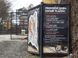 FOTOGALERIE: Vláčkem za soby a klokany. Zoo Olomouc otevřela dvě nové části safari