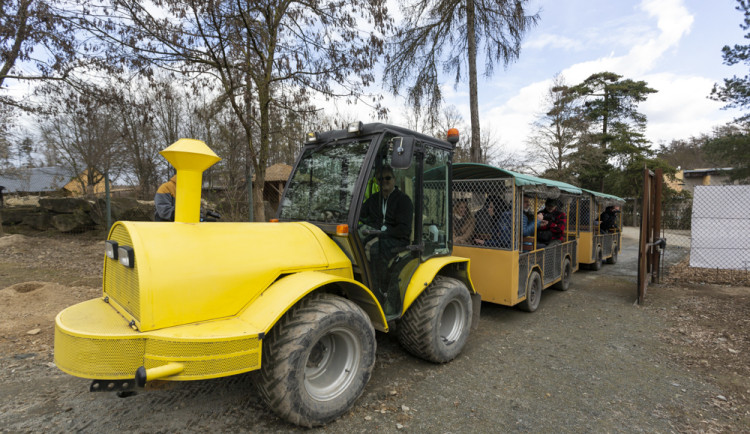 Vláčkem za soby a klokany. Zoo Olomouc otevřela dvě nové části safari
