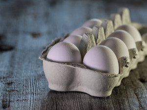 Ceny vajec v Česku vzrostly nejvíce ze všech zemí Evropské unie