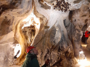 Mlaskání, bubnující kapky nebo prskavky. Jeskyně Na Špičáku představuje tajnou řeč netopýrů