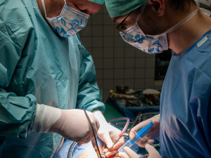 Titan, vanad a hliník: jedinečný meziobratlový implantát z Olomouce pomáhá pacientům už pět let