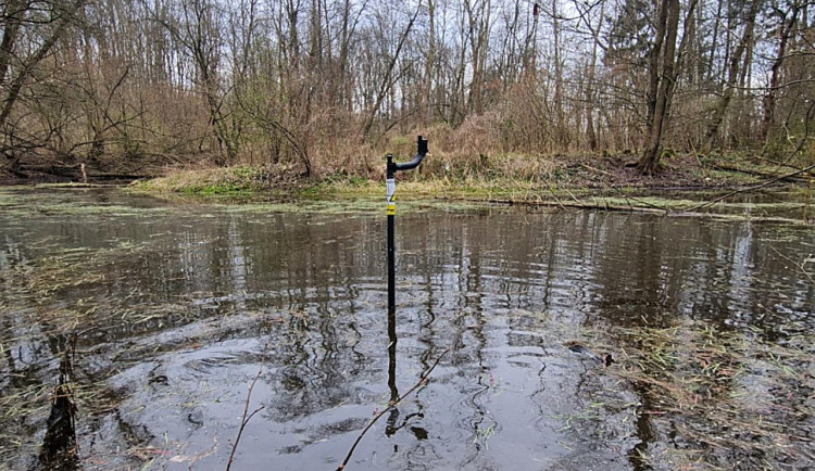 csm_komari_2_6cc2d6e5cd