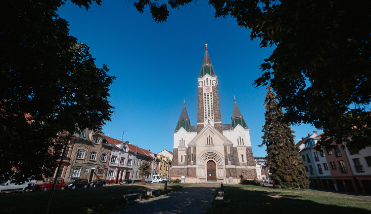 Lidé v Brně se děsí kácení stoleté aleje. Dopadne to dobře, uklidňuje město