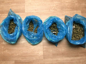 Při záchraně sebevraha policisté v rodinném domě na Kojetínsku našli téměř kilogram marihuany