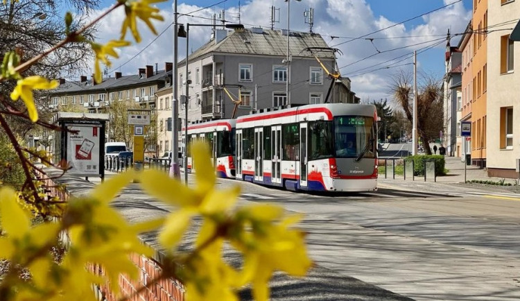 Kvůli výstavě Flora olomoucký dopravní podnik posílí tramvaje. K dispozici budou odstavná parkoviště