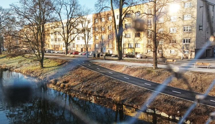 Hradec bude zelenější, město na podzim vysází stovky stromů