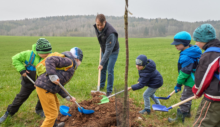 Trutnov ke Dni Země vysázel desítky stromů, pomohly i děti ze školky