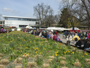 Jarní Floru si nenechalo ujít 53 tisíc lidí. Návštěvnost jen pomalu dohání předcovidovou éru