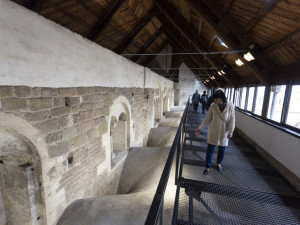 FOTOGALERIE: Splněný sen historiků. Arcidiecézní muzeum ukazuje dávné časy Olomouce