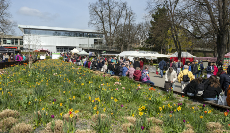 Jarní etapa výstavy Flora Olomouc 2023