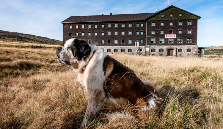 Luční bouda oslaví kulatiny speciálním pivem i frézováním silnice