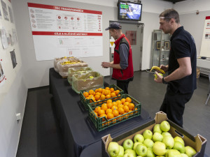 Ochrana zdraví jako priorita. Honeywell nachystal pro zaměstnance speciální preventivní program