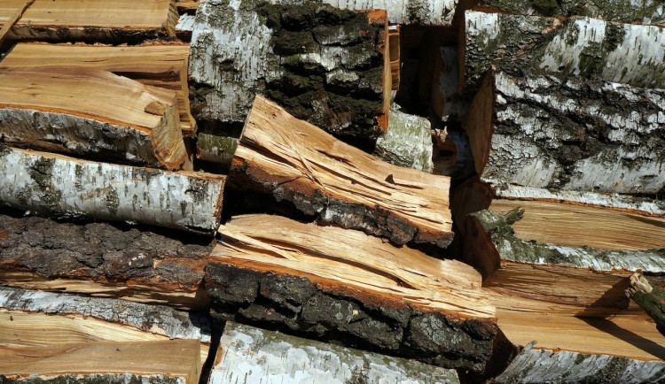 Šance na levnější topení dřevem. Vojenské lesy zlevnily až o třetinu