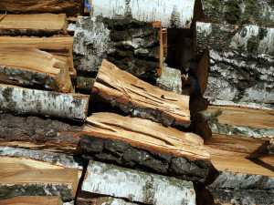 Šance na levnější topení dřevem. Vojenské lesy zlevnily až o třetinu