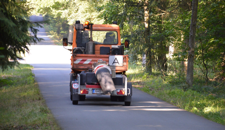 V hradeckých lesích začnou opravy asfaltových cest, budou bezpečnější