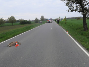 Úhybný manévr před srnkou skončil na Přerovsku vážnou nehodou, tři lidé utrpěli zranění