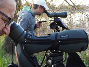 Kdo to zpívá u vody? Ornitologové pořádají exkurzi do přírody tovačovských rybníků