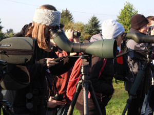 Kdo to zpívá u vody? Ornitologové pořádají exkurzi do přírody tovačovských rybníků
