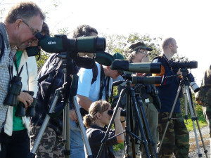 Kdo to zpívá u vody? Ornitologové pořádají exkurzi do přírody tovačovských rybníků