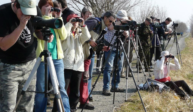 Kdo se vrátil ze zimovišť? Ornitologové pořádají exkurzi do přírody tovačovských rybníků