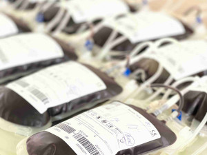 Pro krev do kasáren. Mobilní odběrový tým z FN Olomouc oslovil mezi vojáky desítky prvodárců