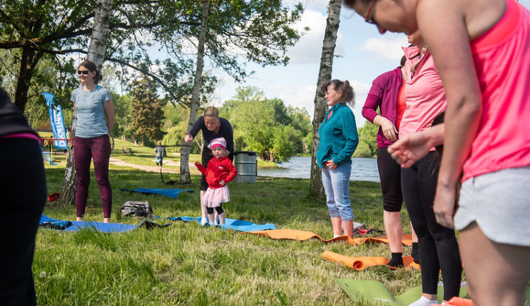 52184317954_84f6de5475_c