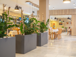 Kvalitní poctivá kuchyně, prostory pro jakoukoliv akci a kompletní servis. To je prostějovská restaurace U Tří bříz