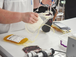 Se zpracováním krve pomáhá ve FN Olomouc automatický systém. Novinku má jako první v republice