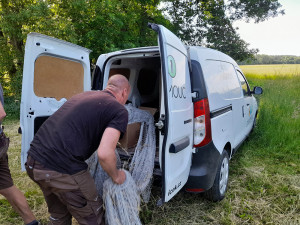 VIDEO: Toulavý nandu od Olomouce už má nový domov, odchyt zvládli odborníci ze Zoo Olomouc