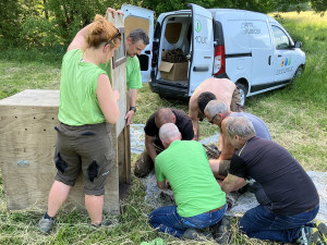 VIDEO: Toulavý nandu od Olomouce už má nový domov, odchyt zvládli odborníci ze Zoo Olomouc