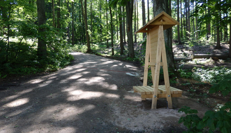 size3-16853453734211-207-riziko-napadeni-klistetem-je-na-nejvyssim-stupni-drzte-se-zpevnenych-cest-radi-odbornici