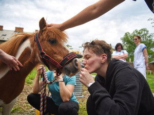 VIDEO: Hanička, Anička, Kulička a další zvířata rozdávají radost v olomoucké nemocnici