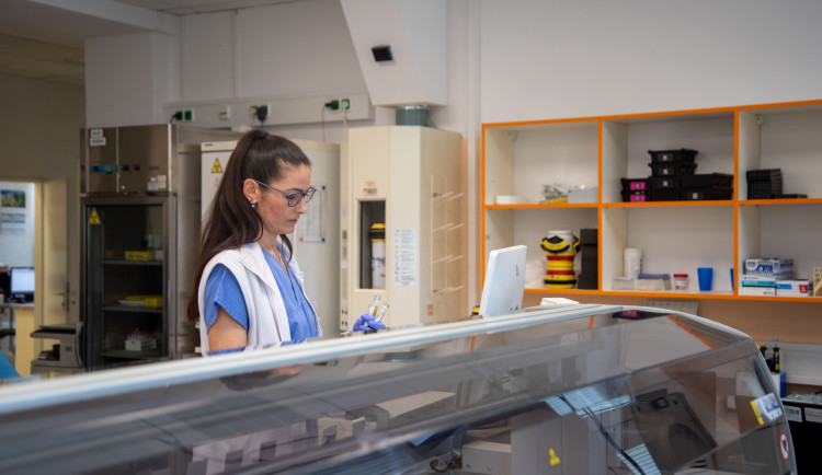 52051836699_8f7e166af2_6k