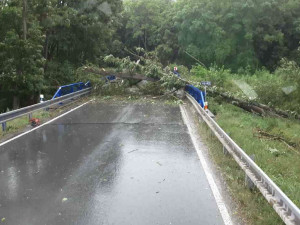 Na jihu kraje bouřky vyvracely stromy, v Olšanech vítr odnesl stan. Hasiči vyjížděli k desítkám případů