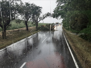 Na jihu kraje bouřky vyvracely stromy, v Olšanech vítr odnesl stan. Hasiči vyjížděli k desítkám případů