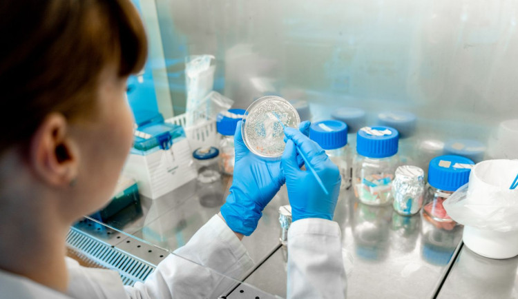 size3-16876952915215-60-alzheimer