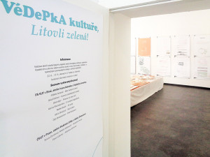 Místo menších bytů kultura či náplavka. Budoucí architekti ukázali možnosti chátrajícího areálu v Litovli