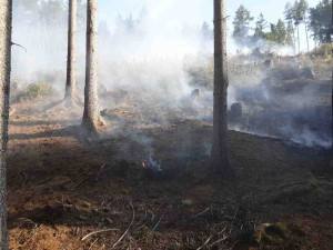 U Mírova hasiči likvidují lesní požár. V akci je i vrtulník s bambivakem