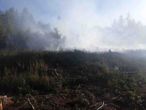 U Mírova hasiči likvidují lesní požár. V akci je i vrtulník s bambivakem