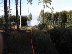 U Mírova hasiči likvidují lesní požár. V akci je i vrtulník s bambivakem