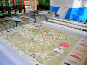 Rozvoj cykloturistiky se v části Jeseníků úplně zastavil. Arcibiskupské lesy...