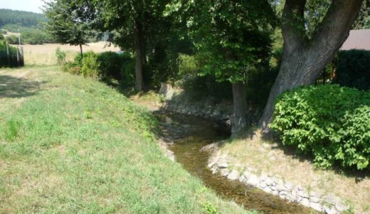 Na třetině řek a potoků v Olomouckém kraji je stav sucha. Hrozí zákazy napouštění bazénů a zalévání zahrad