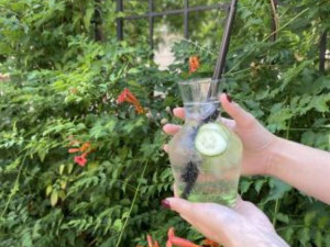 Po třech měsících od krachu Národního domu v Prostějově se opět otevírá zahrádka