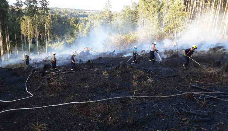 Lesní požár - ilustrační foto