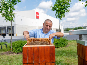 Bez včel by byly prázdné obchody