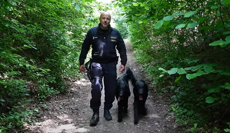 Hladkosrstým retrívrům se věnuje policejní psovod Jan Václavek